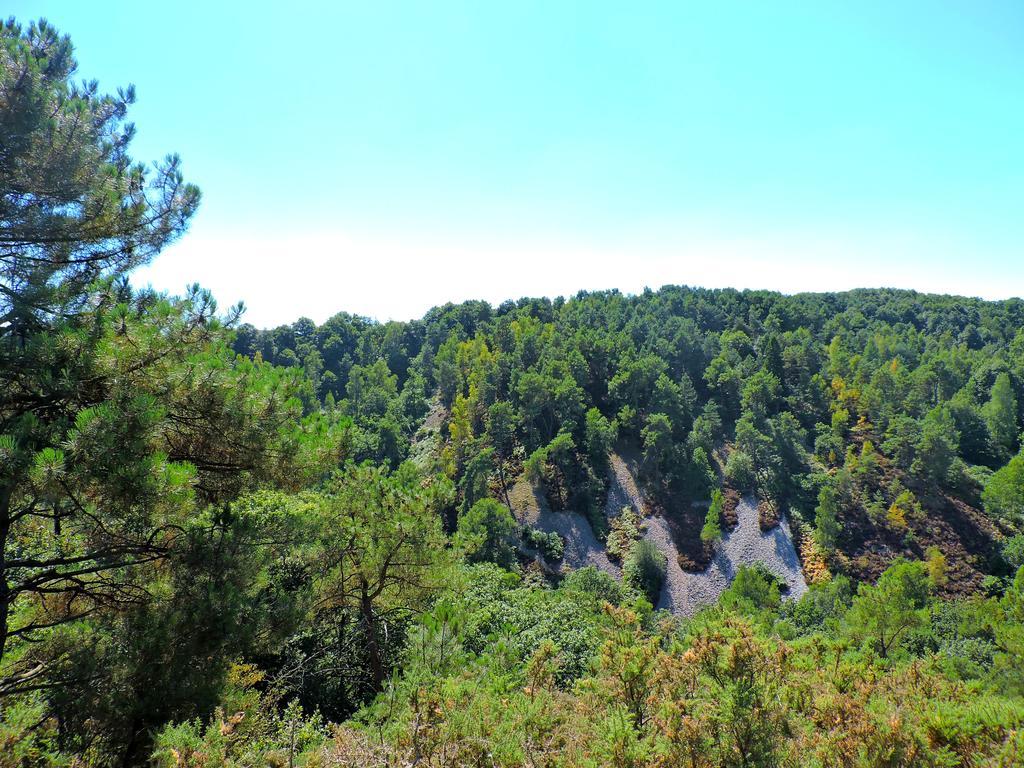 Gite Dans Les Alpes Mancelles Gesnes-le-Gandelin Ngoại thất bức ảnh